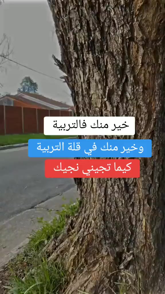 @🎭👑التبسي👑🎭