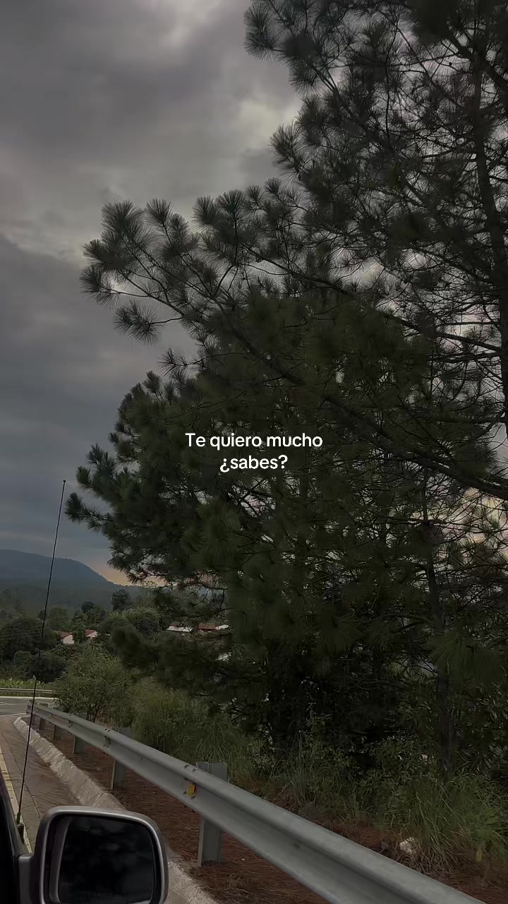 @🥀Tomás🪫