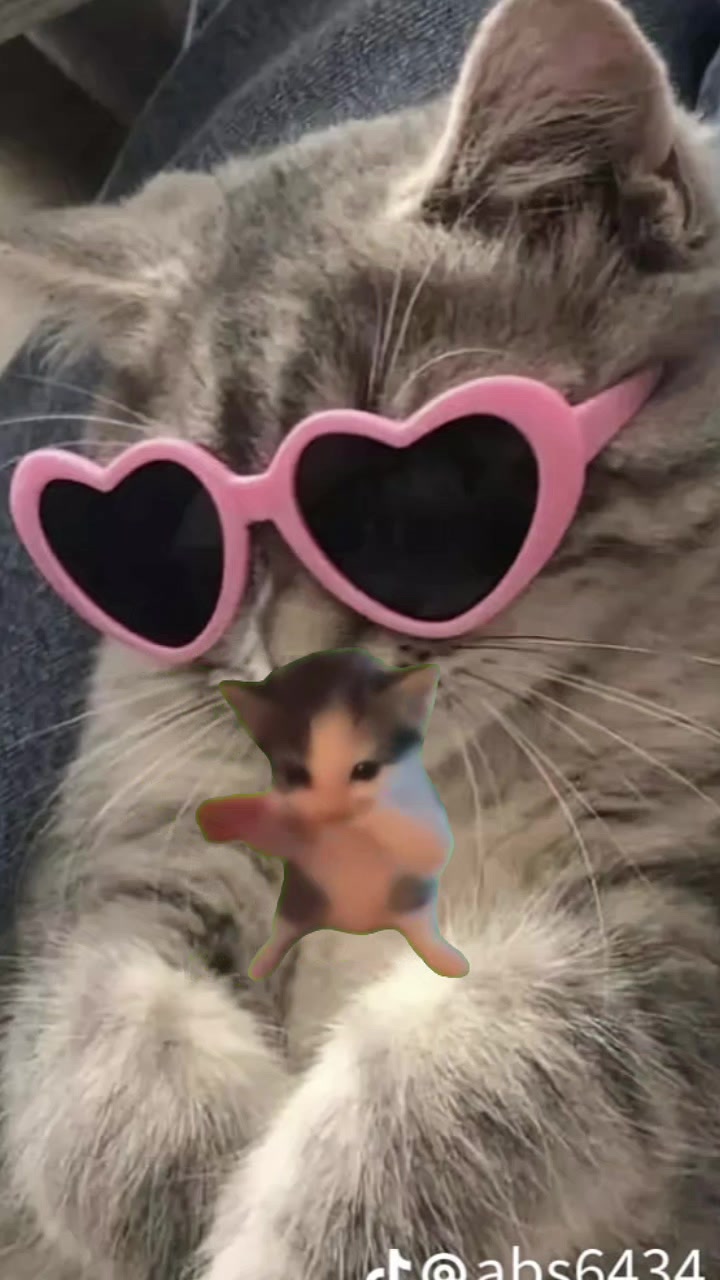 @cat _lover's