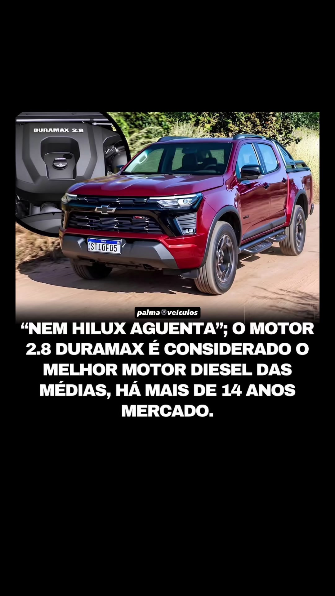 @palmaveiculos