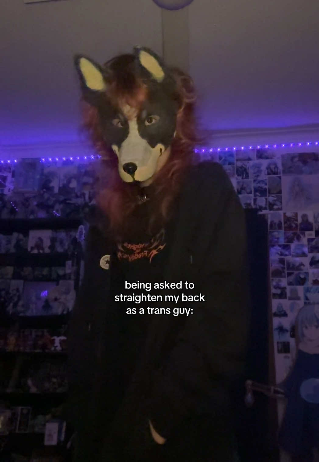 @☆🦇🄶𝐄𝐂𝐊𝐎🦇☆