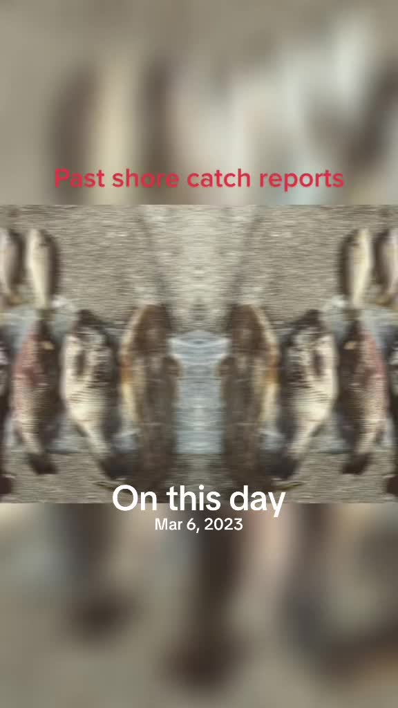 @FishwrexSG