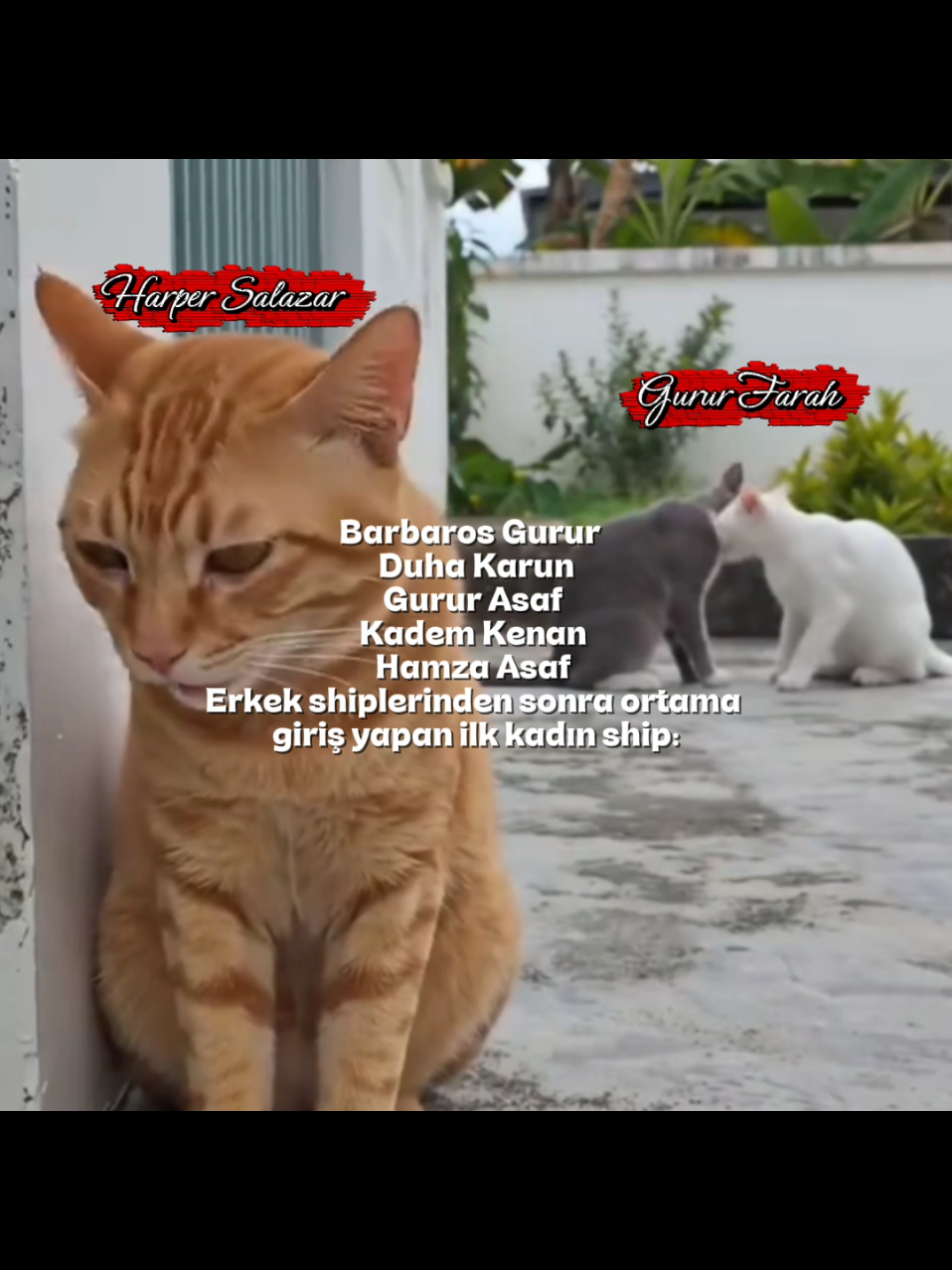 @𝓜𝓮𝓲𝓻𝓪☘