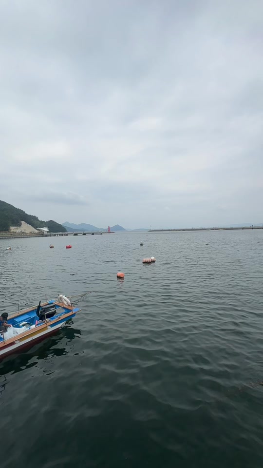 @헤인 오빠♓️
