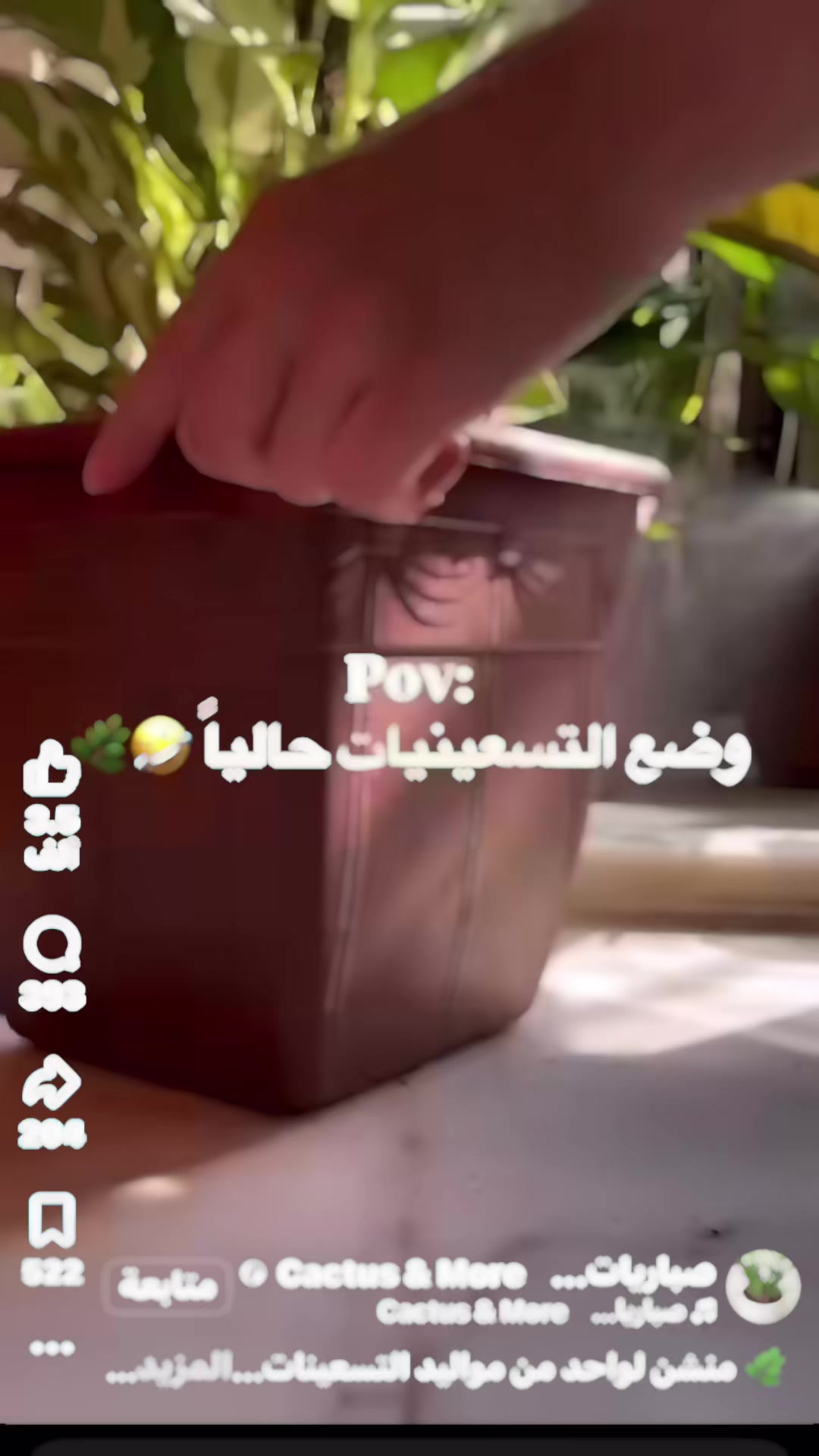 @boshra alaraj