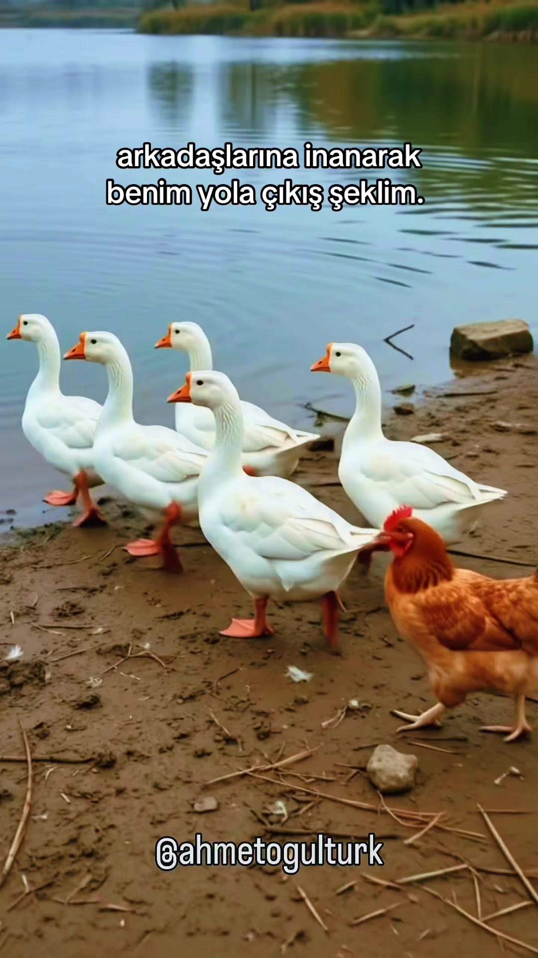 @Ahmet Oğultürk
