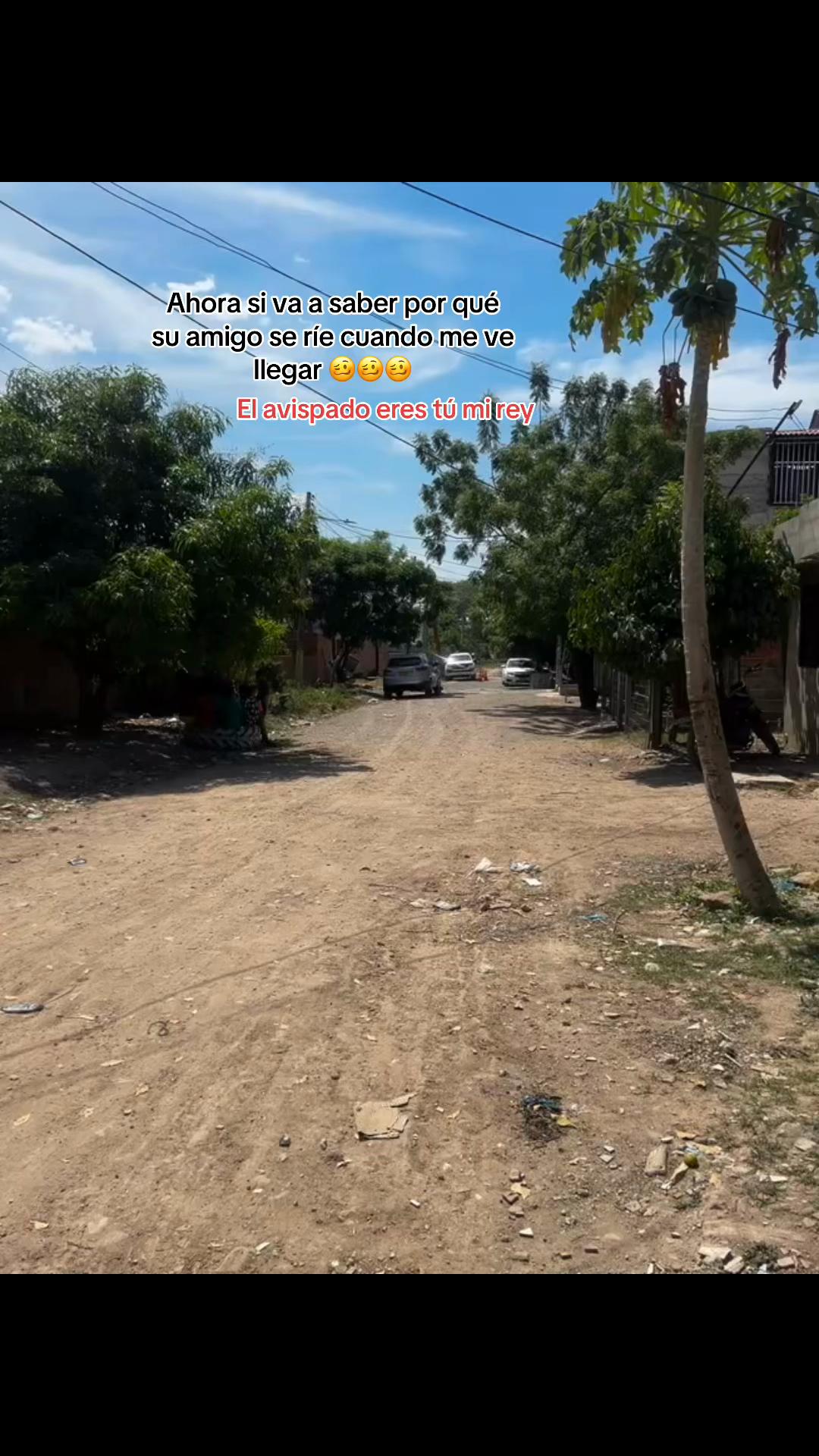 @Maya 🐝