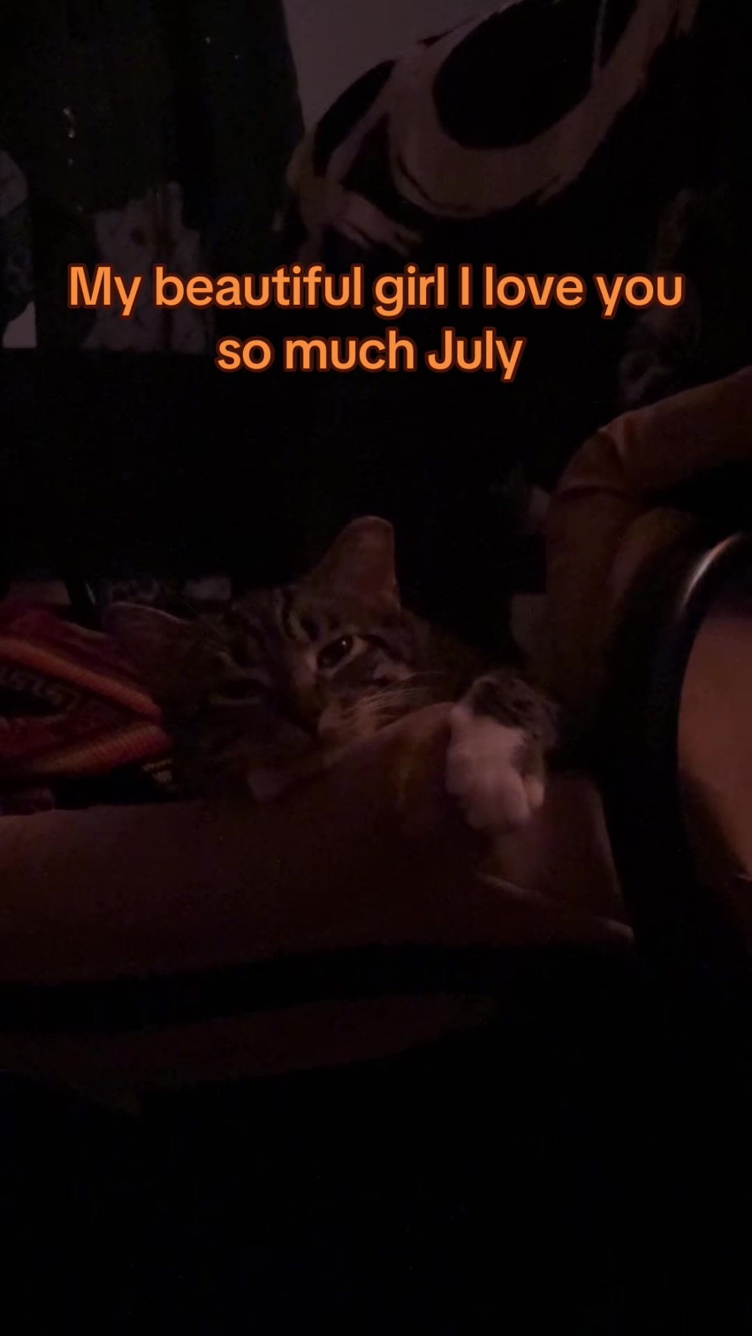 @Buglover6000