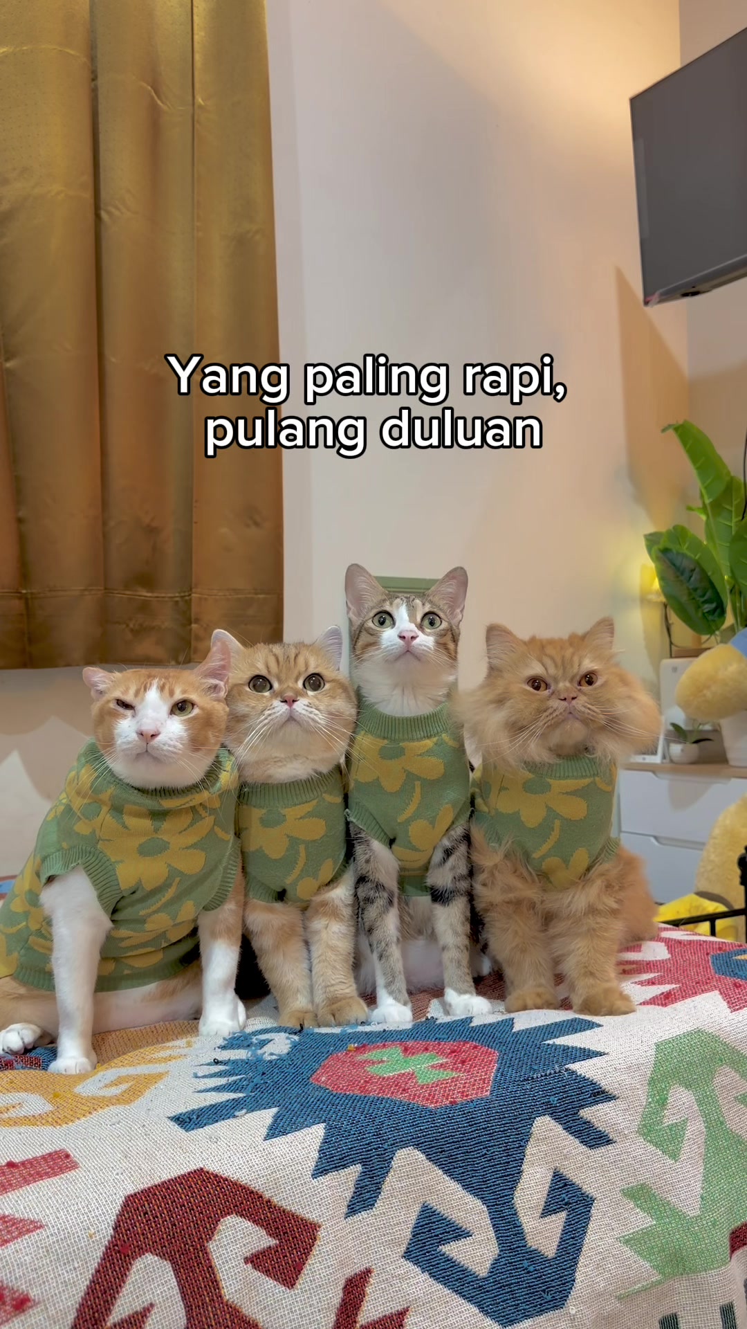 @drh. Ricky Halim dan Sashi