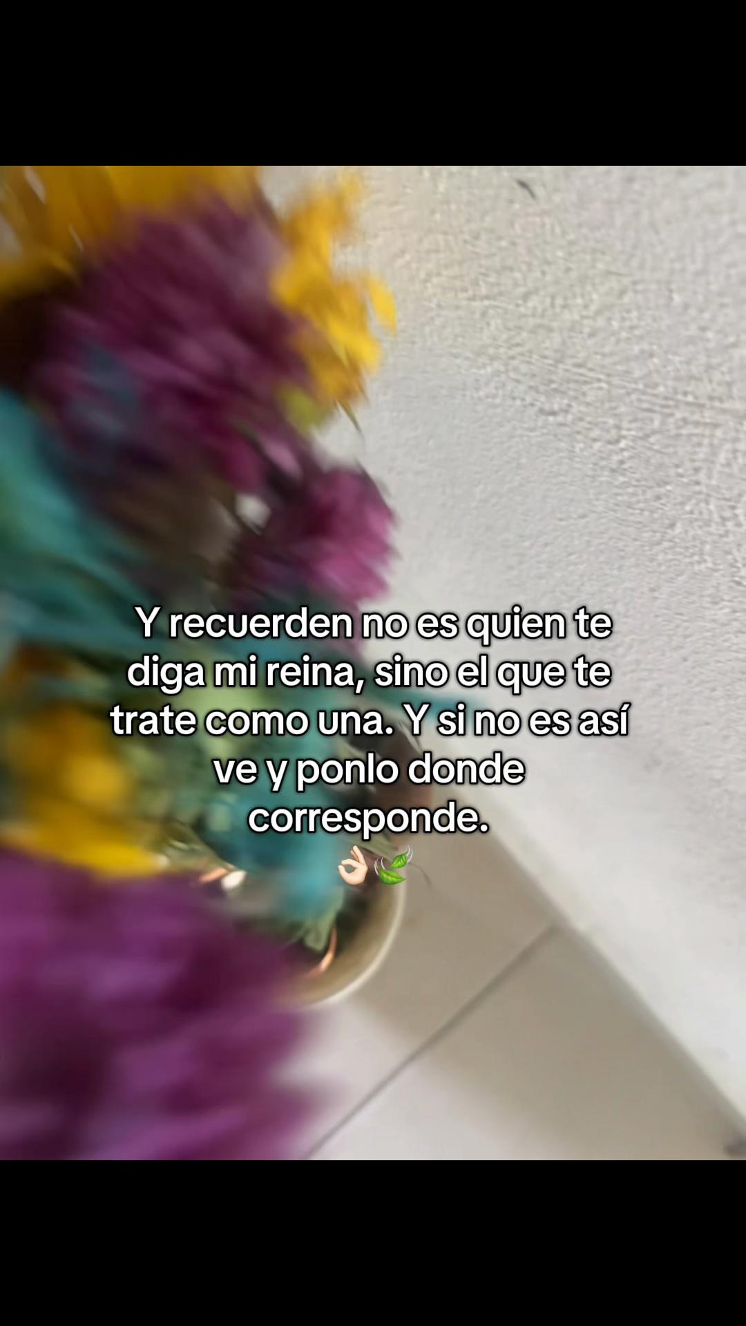 @✨🐈Dorismar Argth