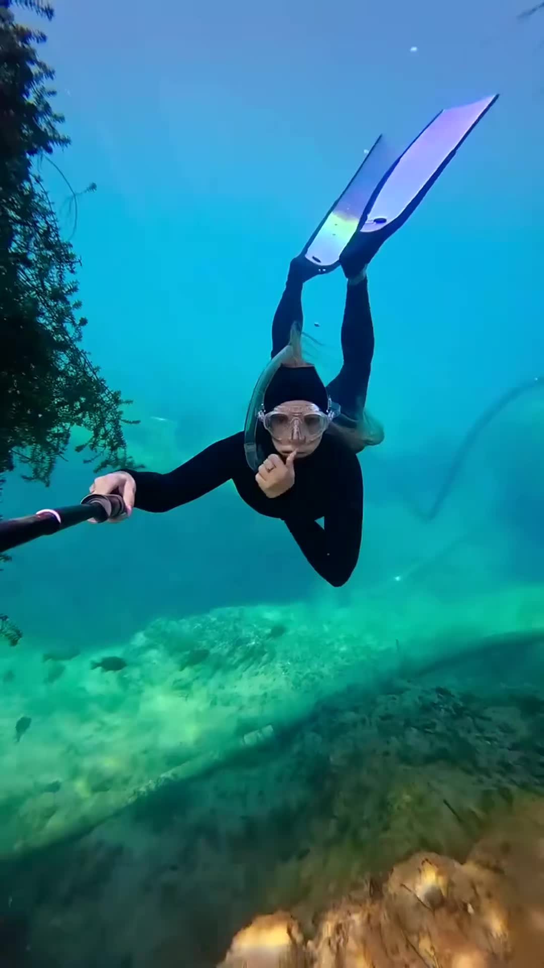 @duthuhuyn3868