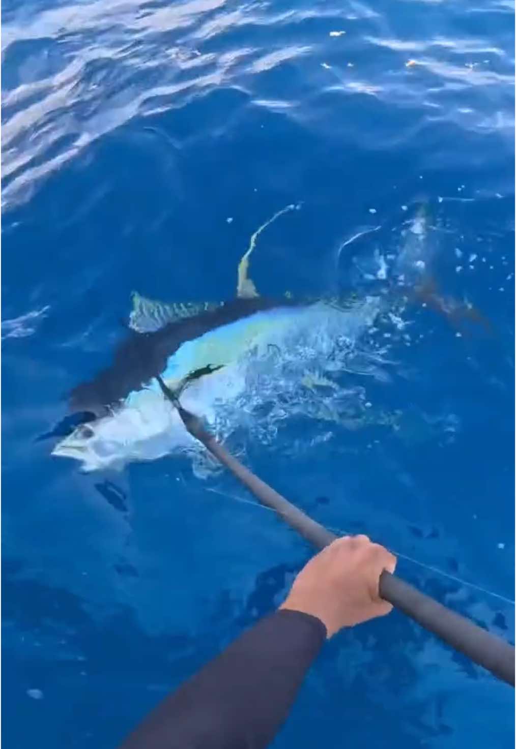 @Dripped Out Fishing Co