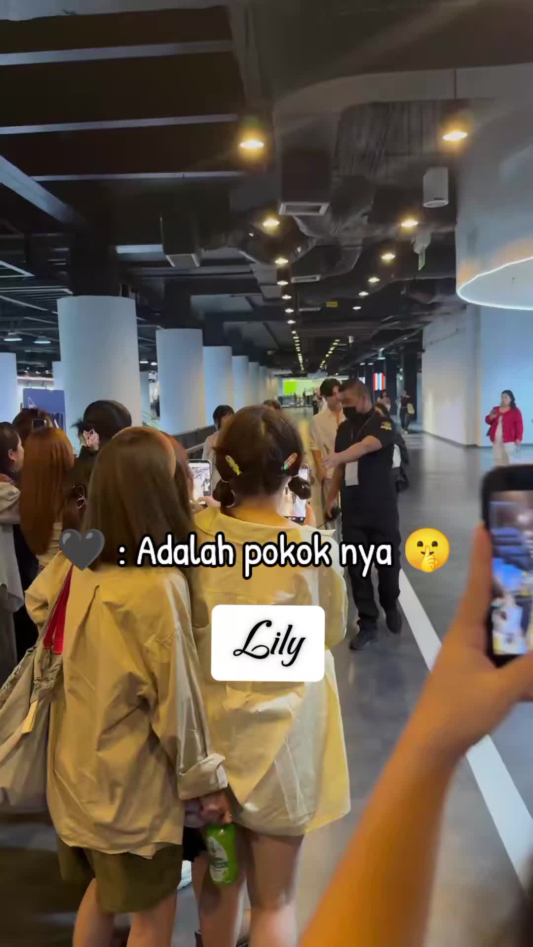 @Lily