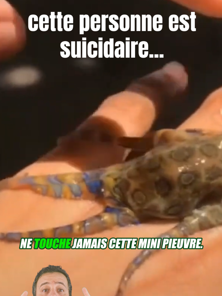 @Vico-Le Savais tu ?