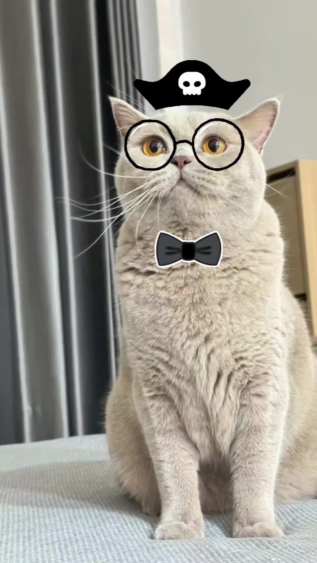 @Nonstop239
