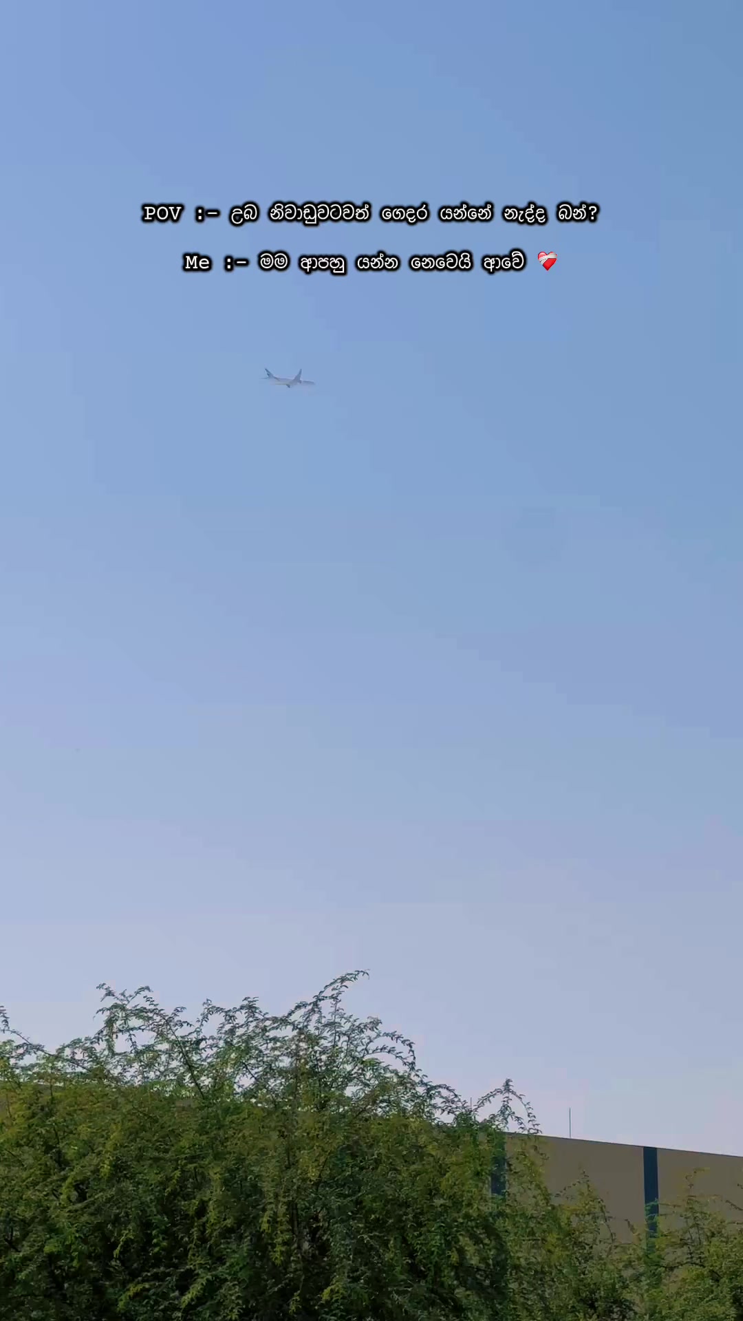 @🇱🇰 චමුවා 🇦🇪
