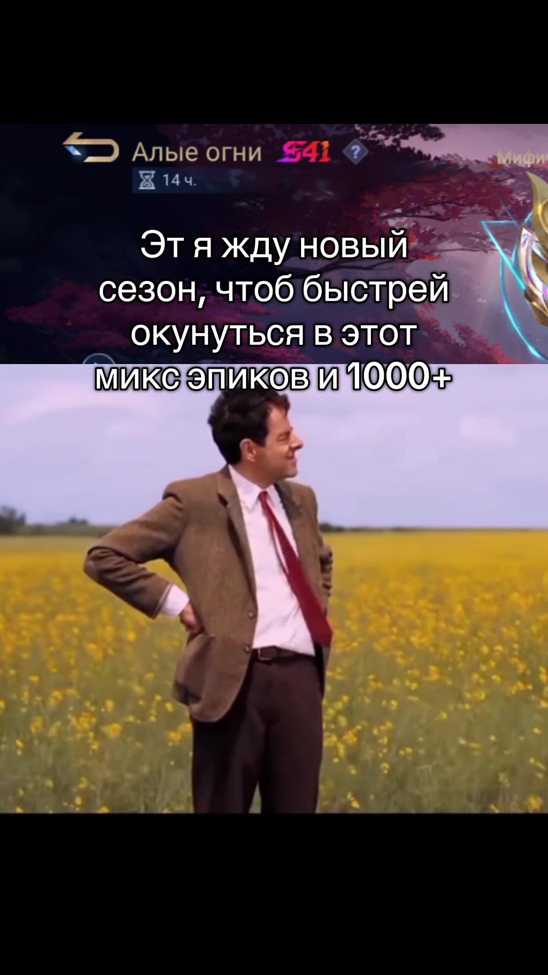 @Miavka