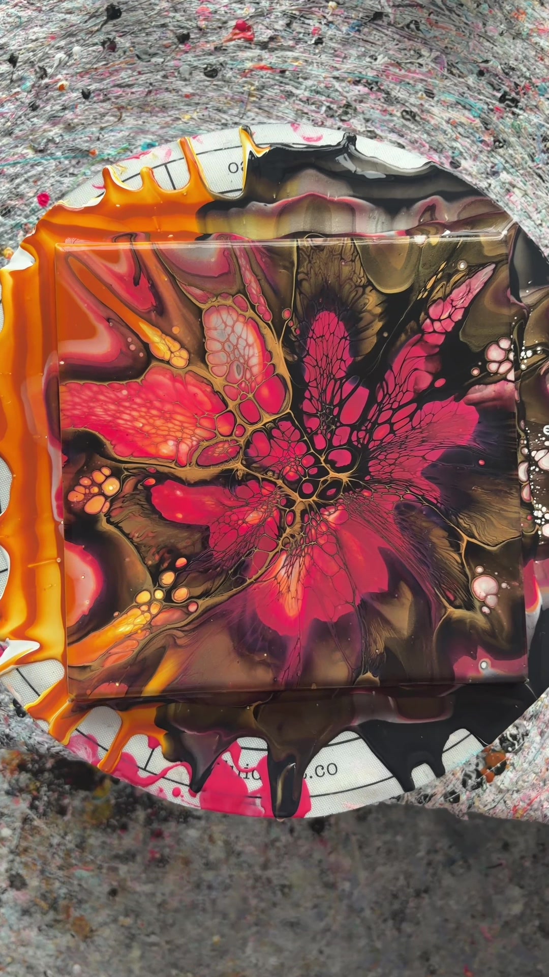 @kimjamesonart