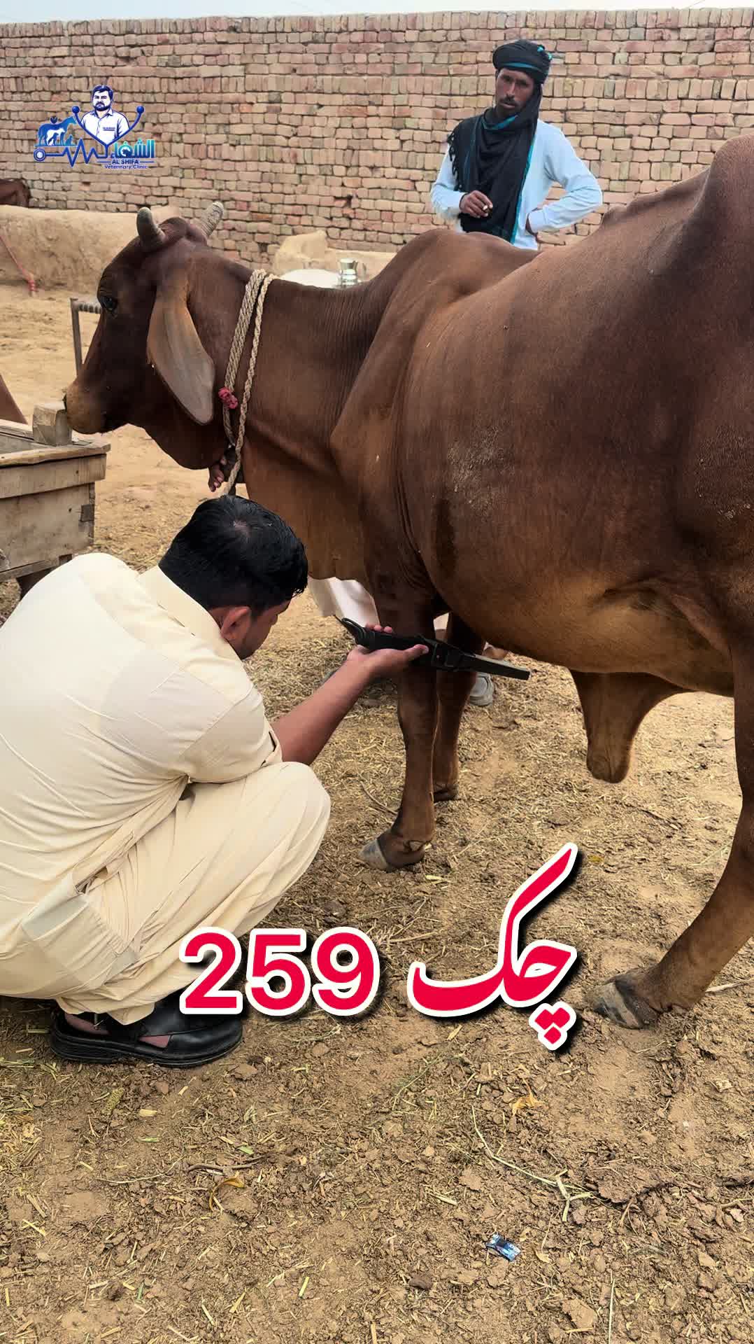 @Dr.Mohsin
