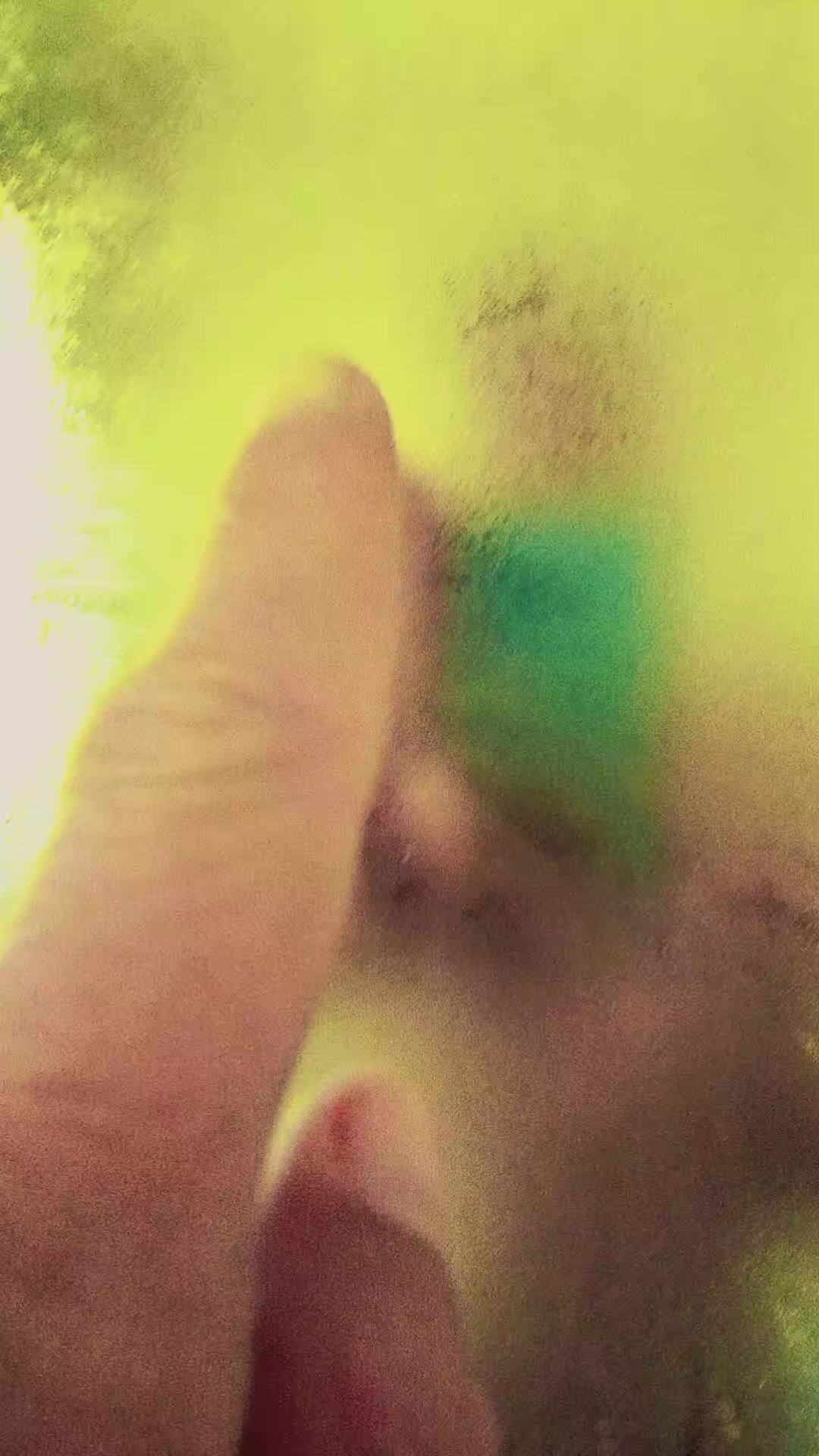 @DinoBravo007