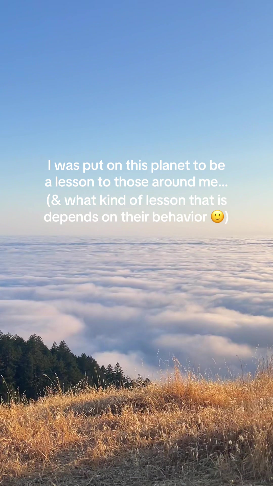 @whatbexsaid