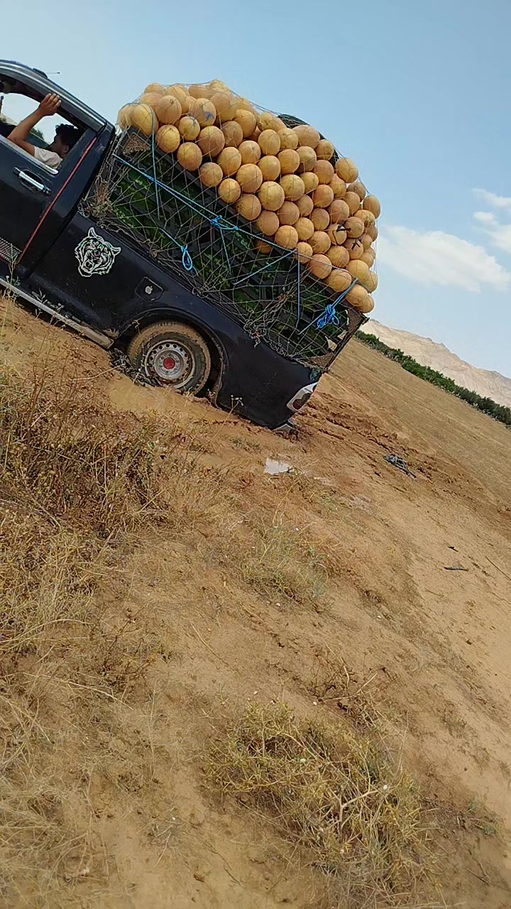 @ÃdémDĩwënį