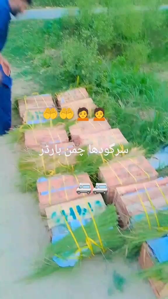 @😎 گورایہ😎