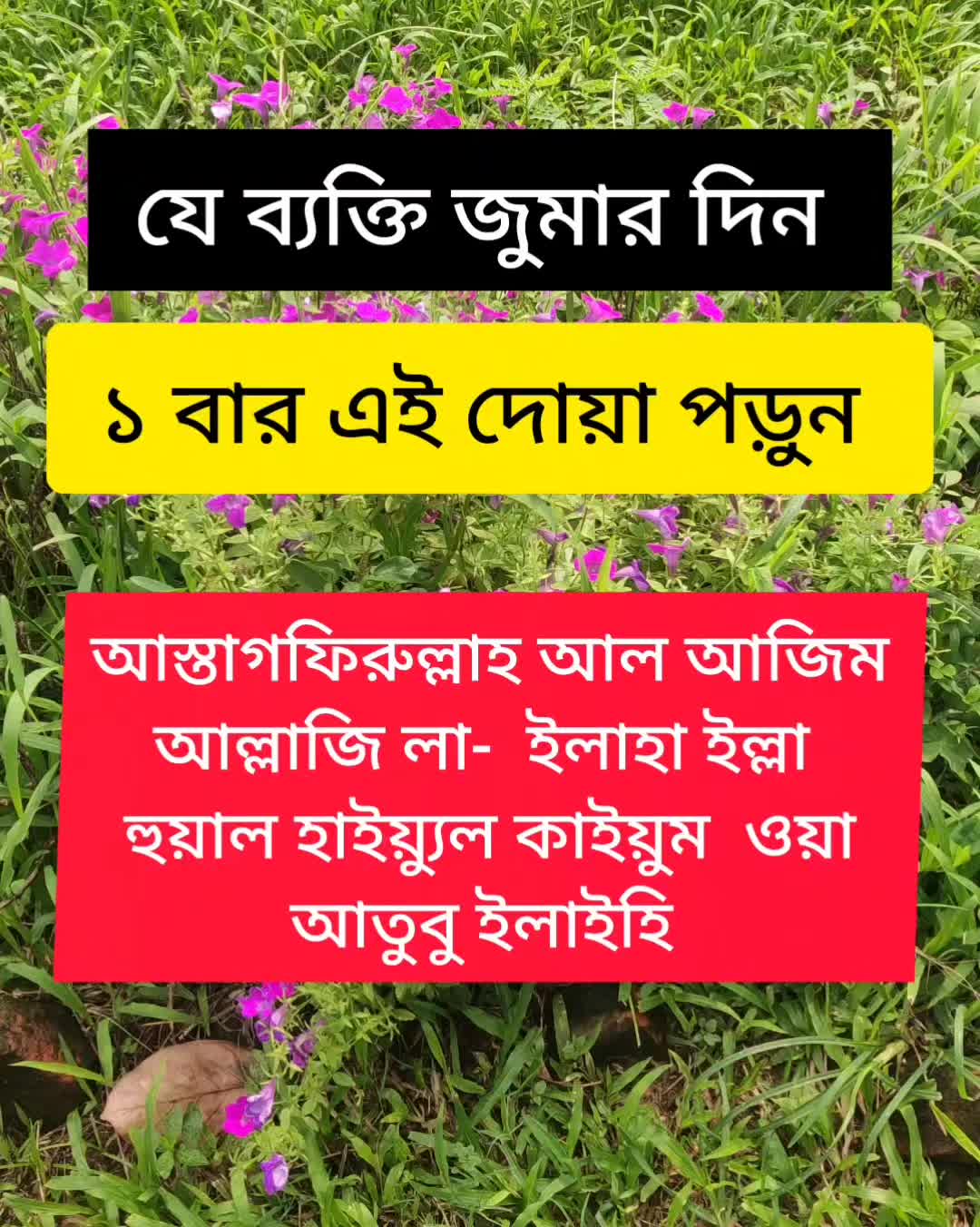 @cuisine_house