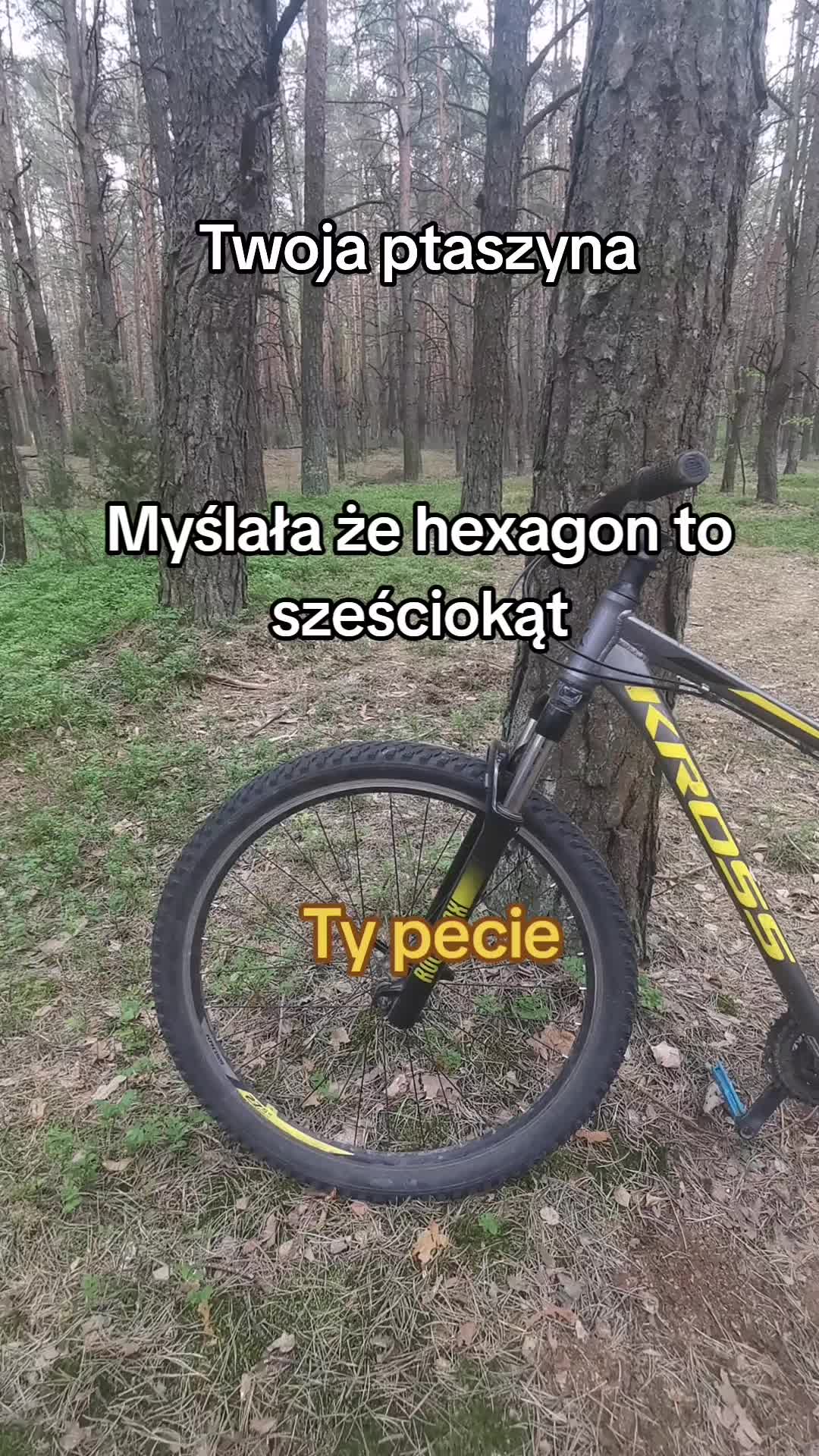 @Anzo.