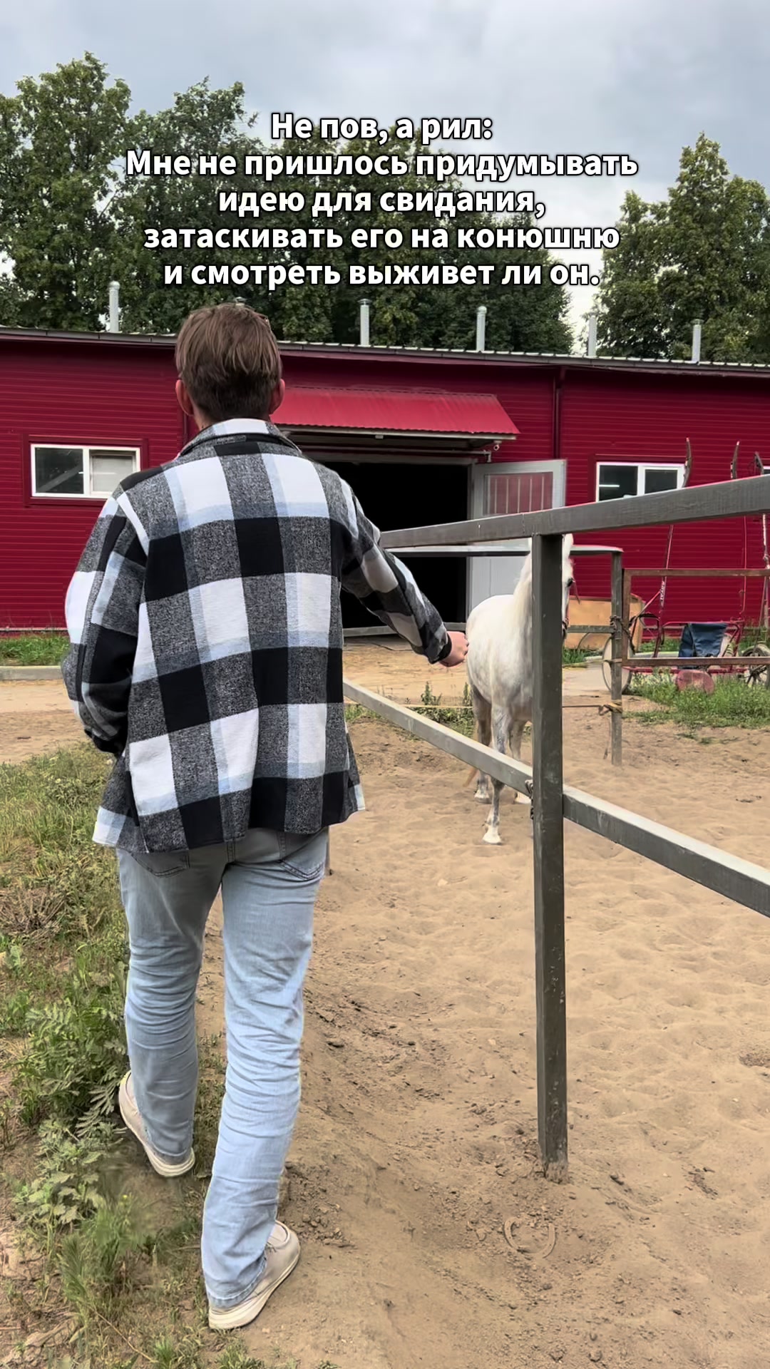 @ТГК: Sonya and the Trotters🐴