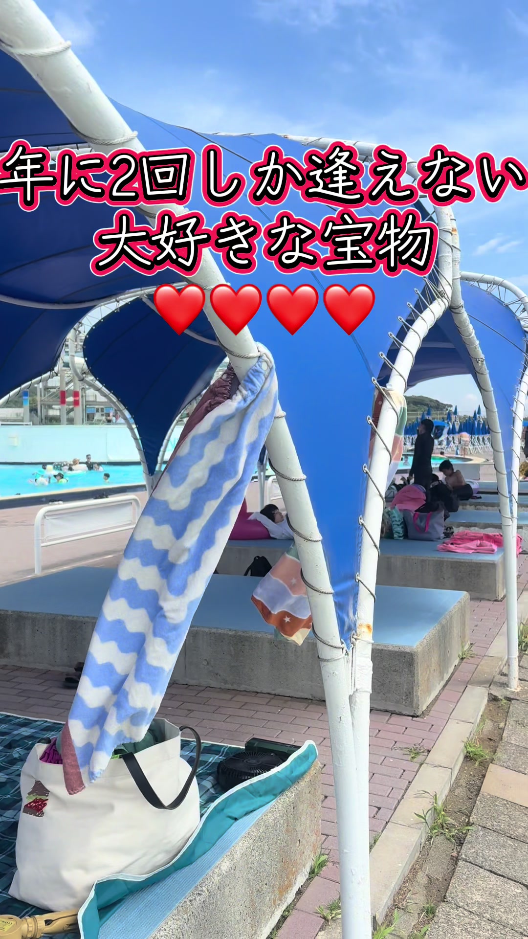 @🎇梅ちゃん🎆😻
