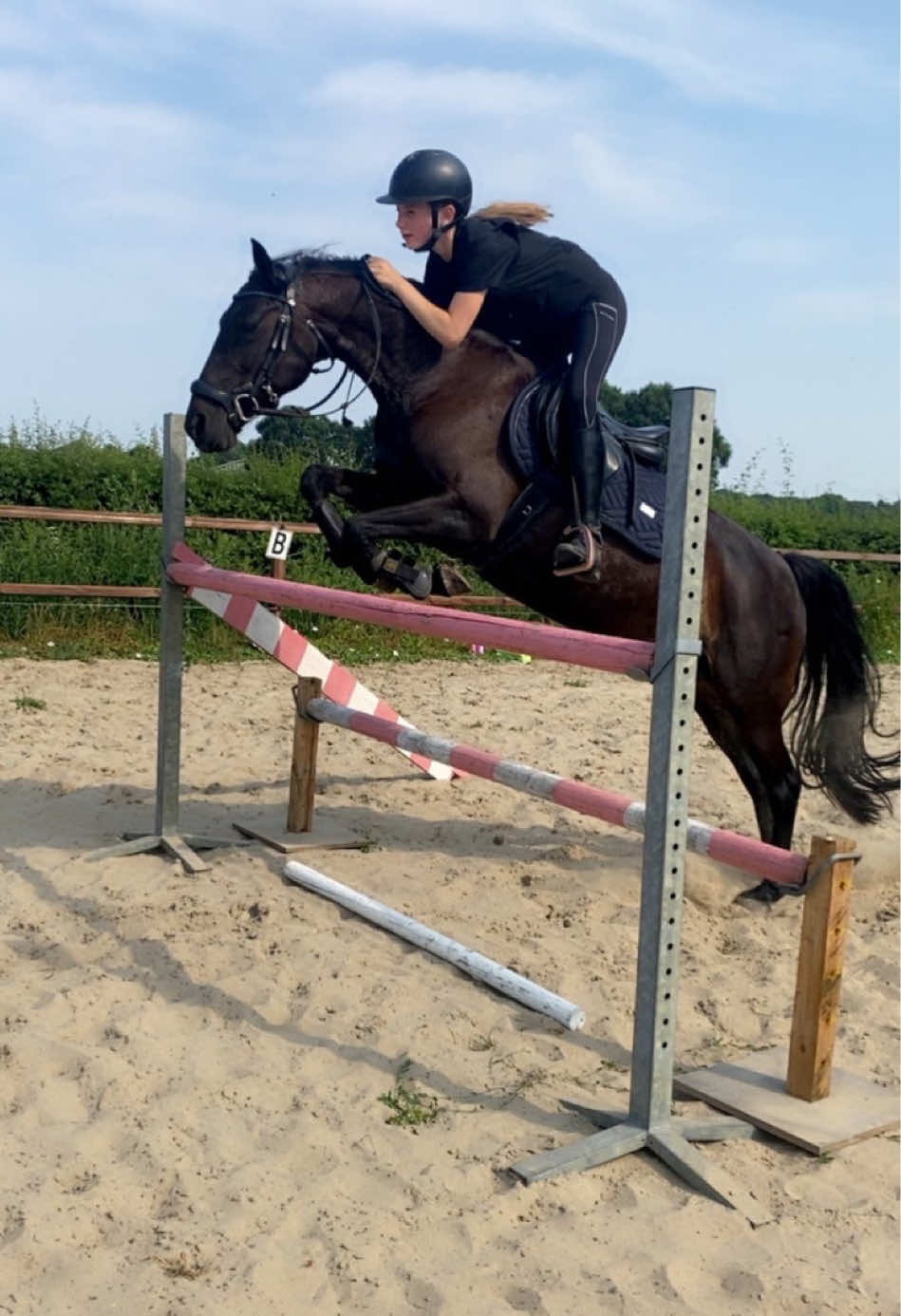 @Equi Roosje🇳🇱