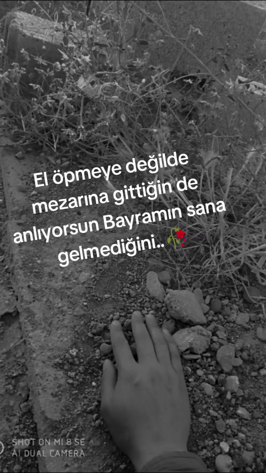 @kara gözlüm 🌸