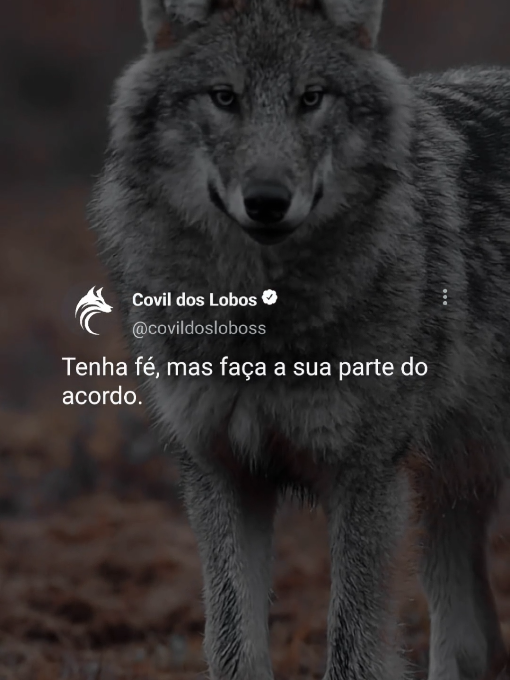 @Covil Dos Lobos