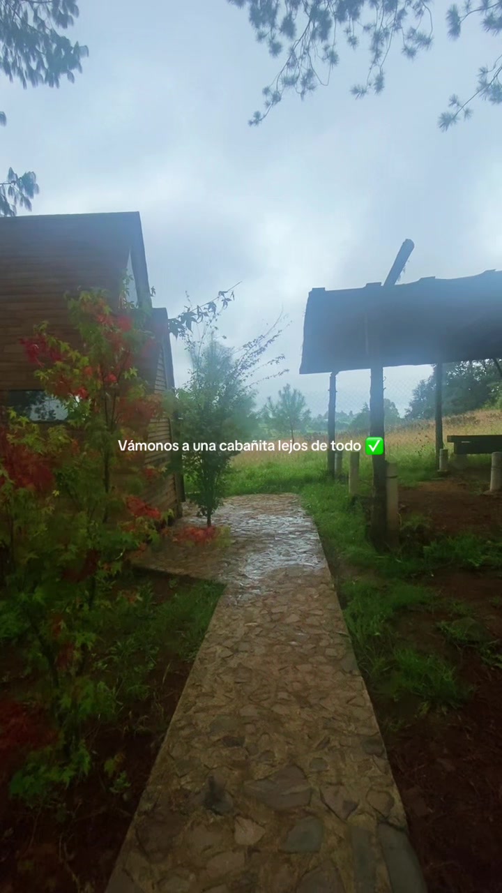 @Gabibv