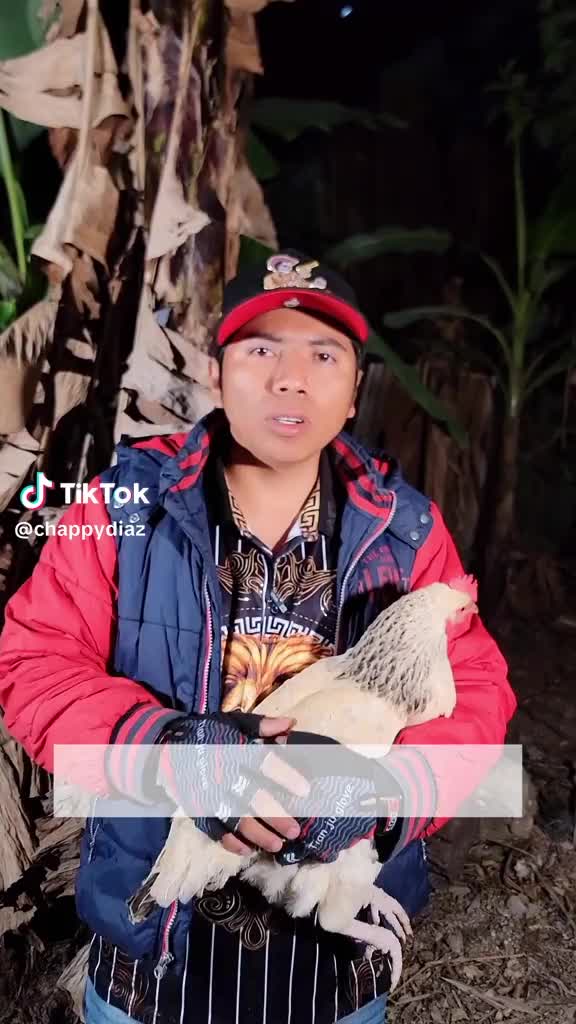 @Tony Castro