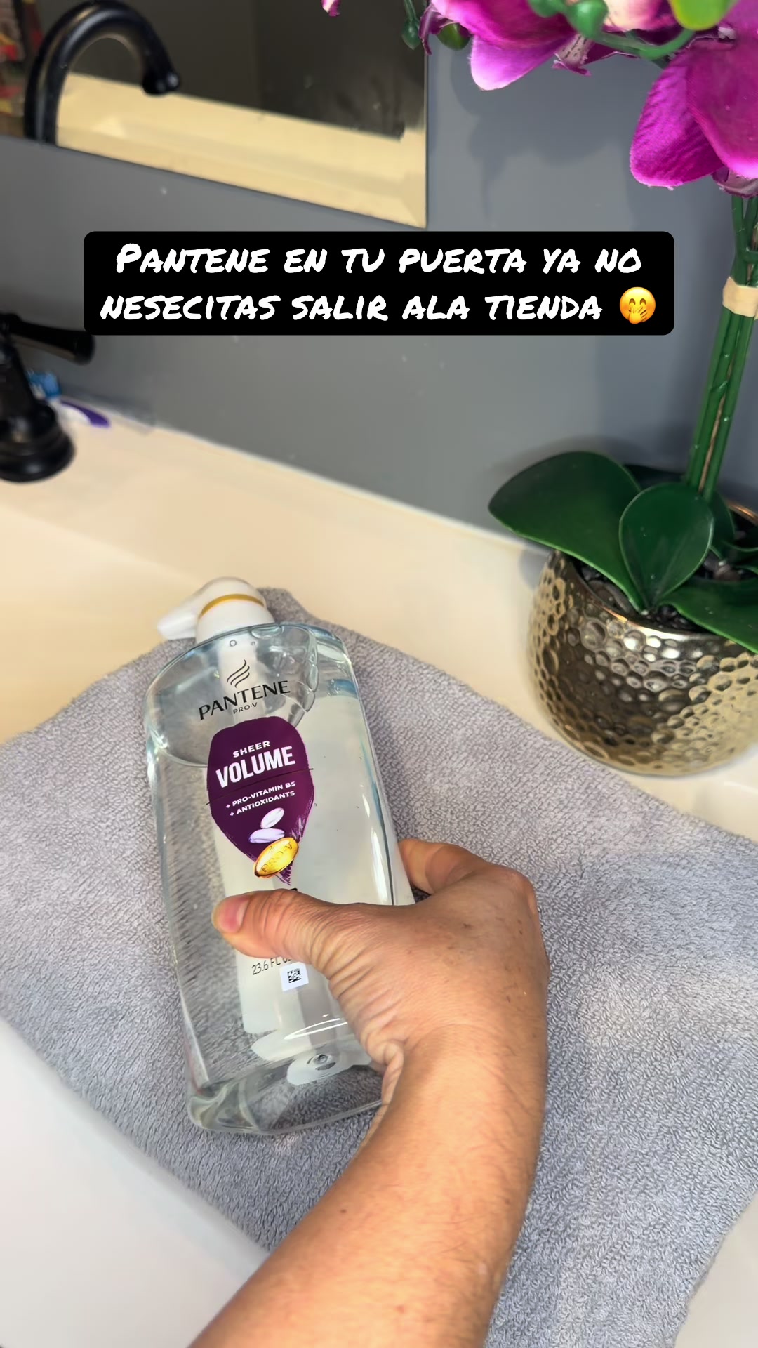@alivalenciall
