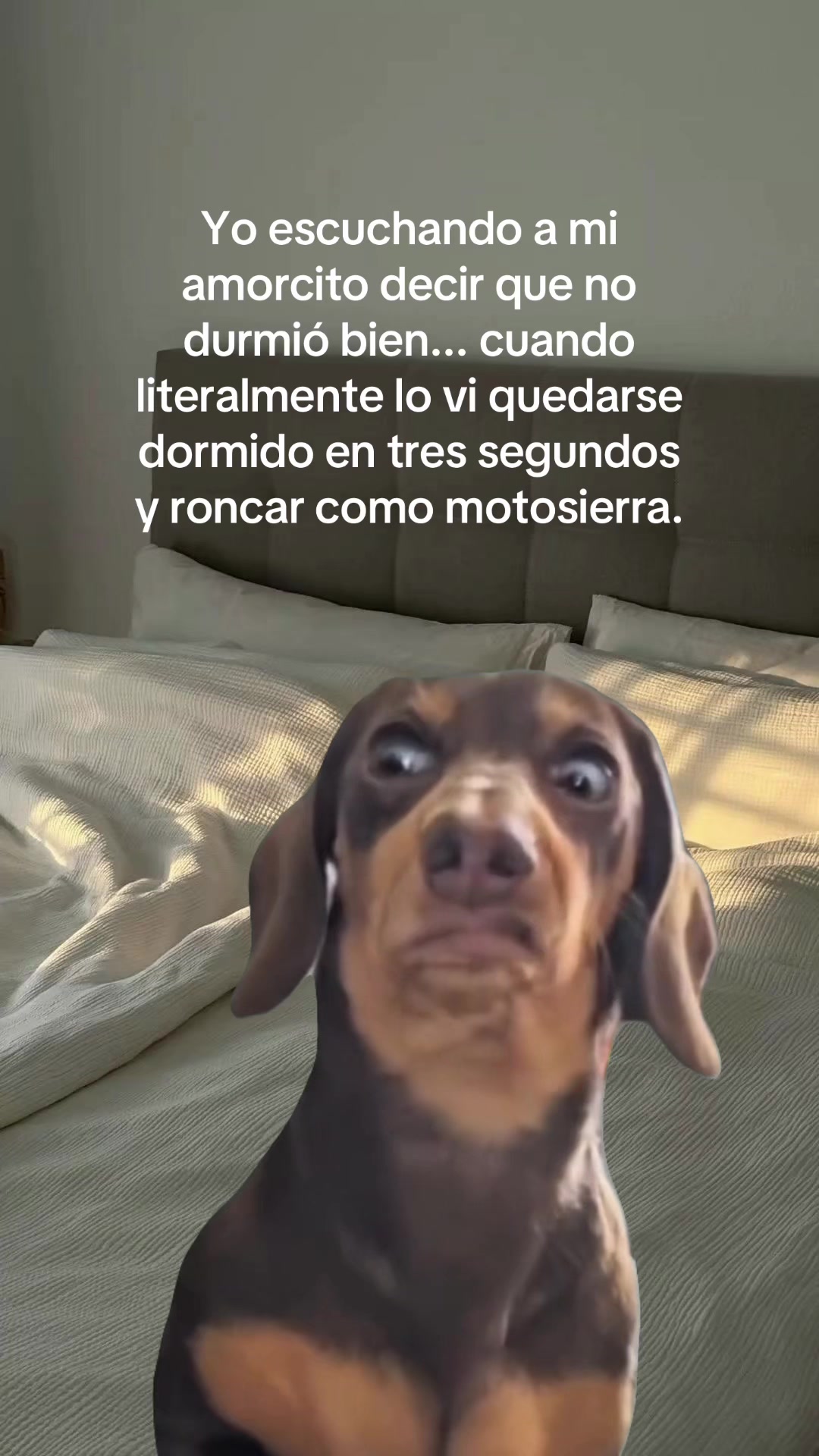 @El Woody 🤠