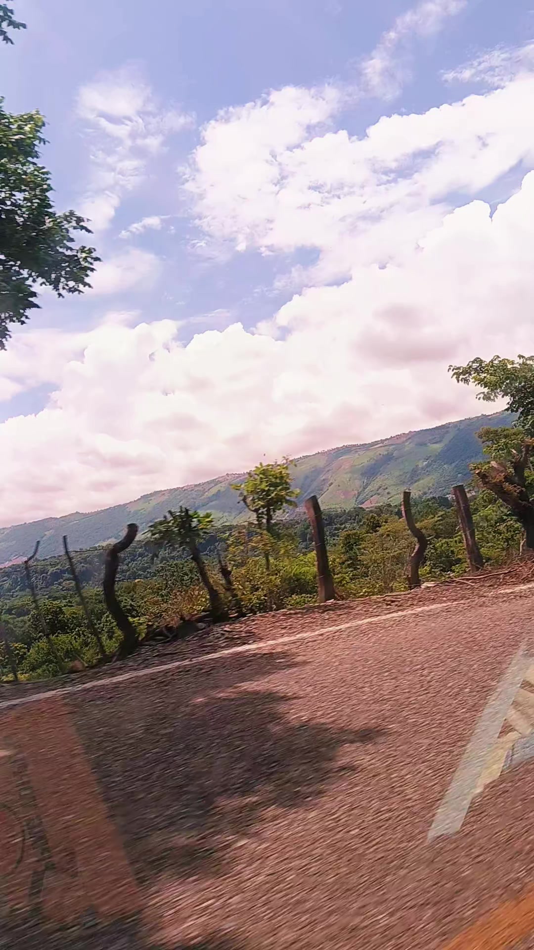 @Romers Gaby