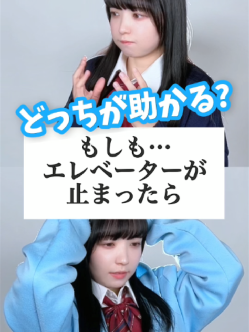 @らてらてちゃん
