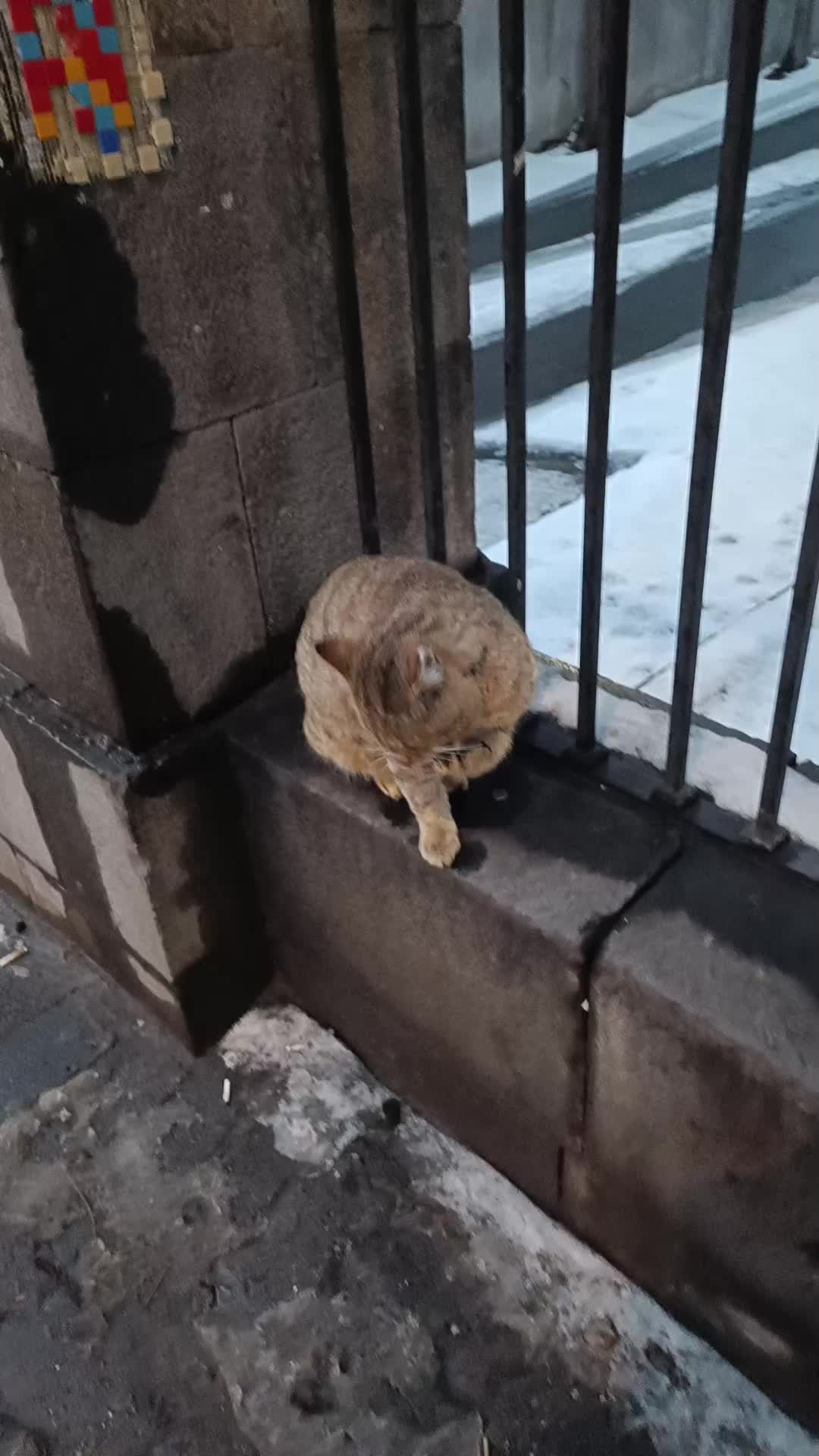 @Николай Попрыгин