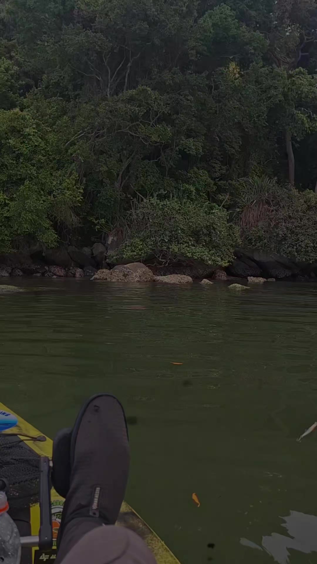 @Washington kayak fish