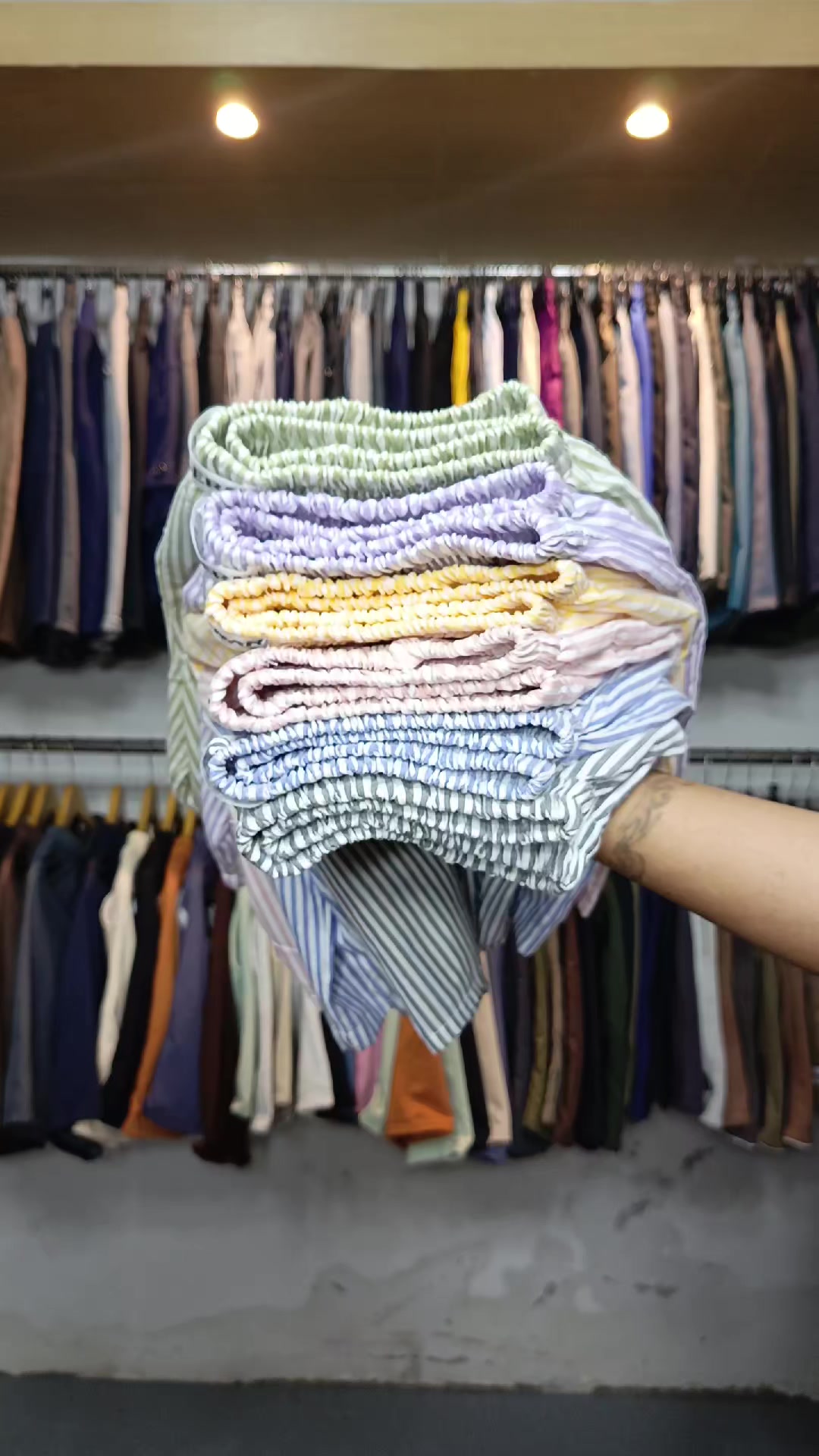 @tampan COLLECTIONS