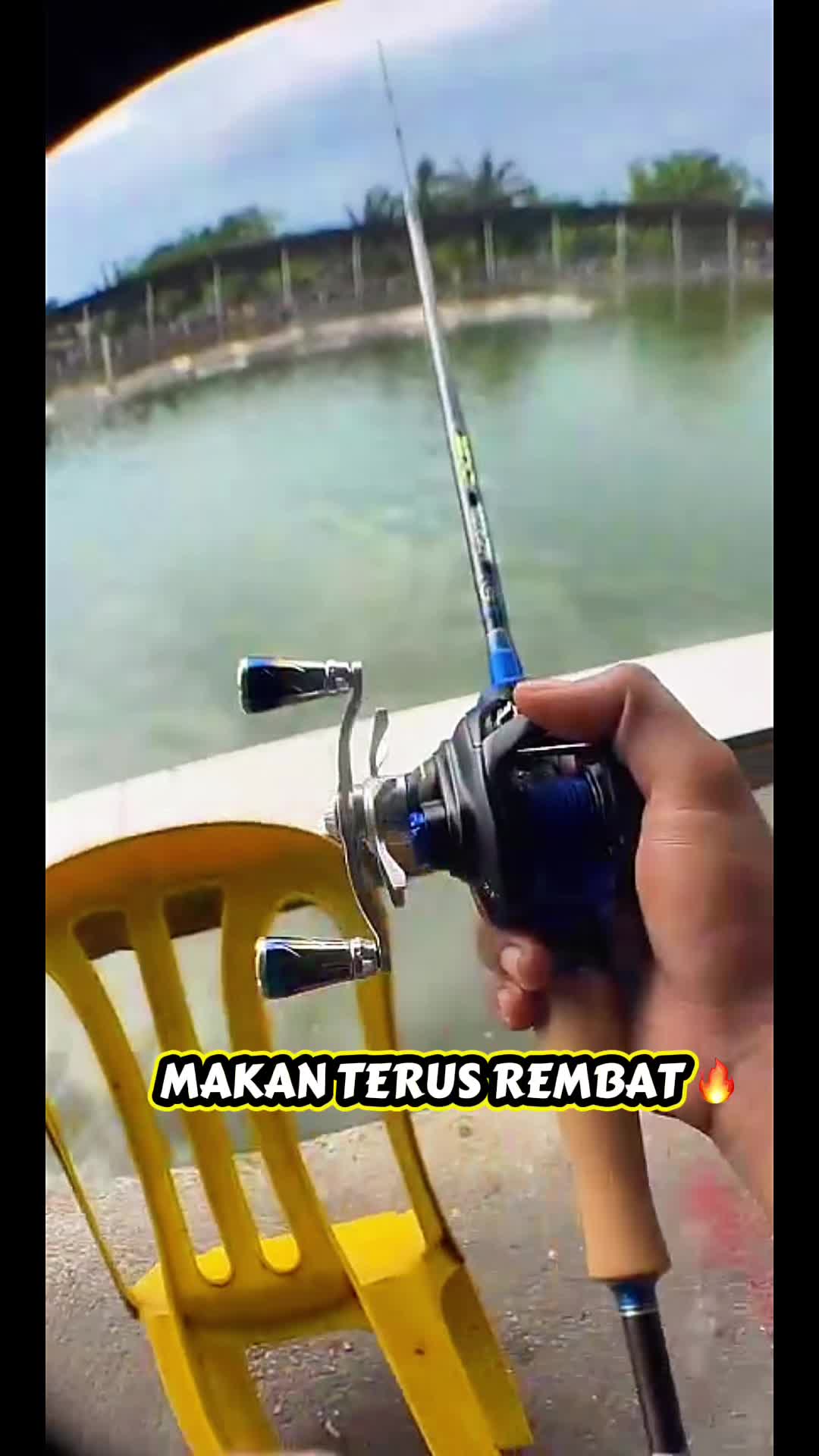 @M Z Reel 🎣