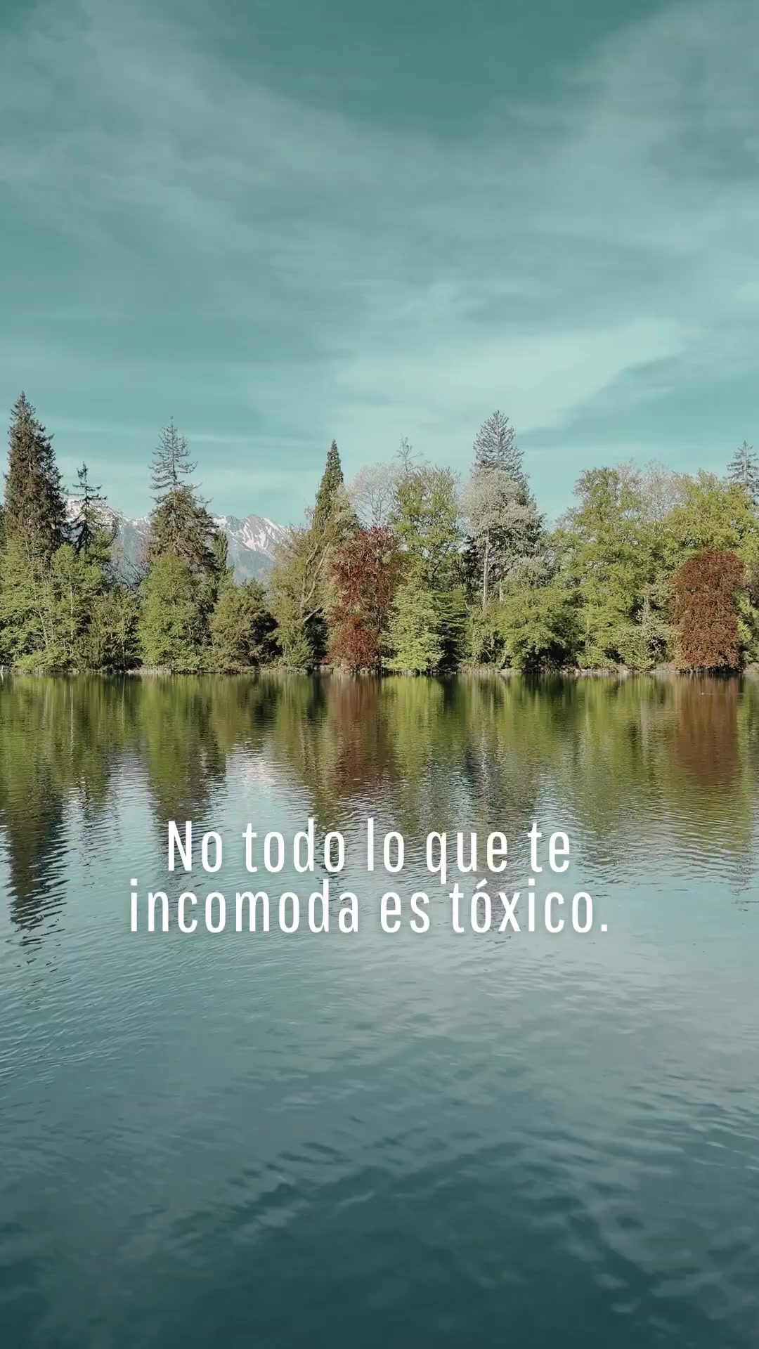 @AnaCe S Gonzales