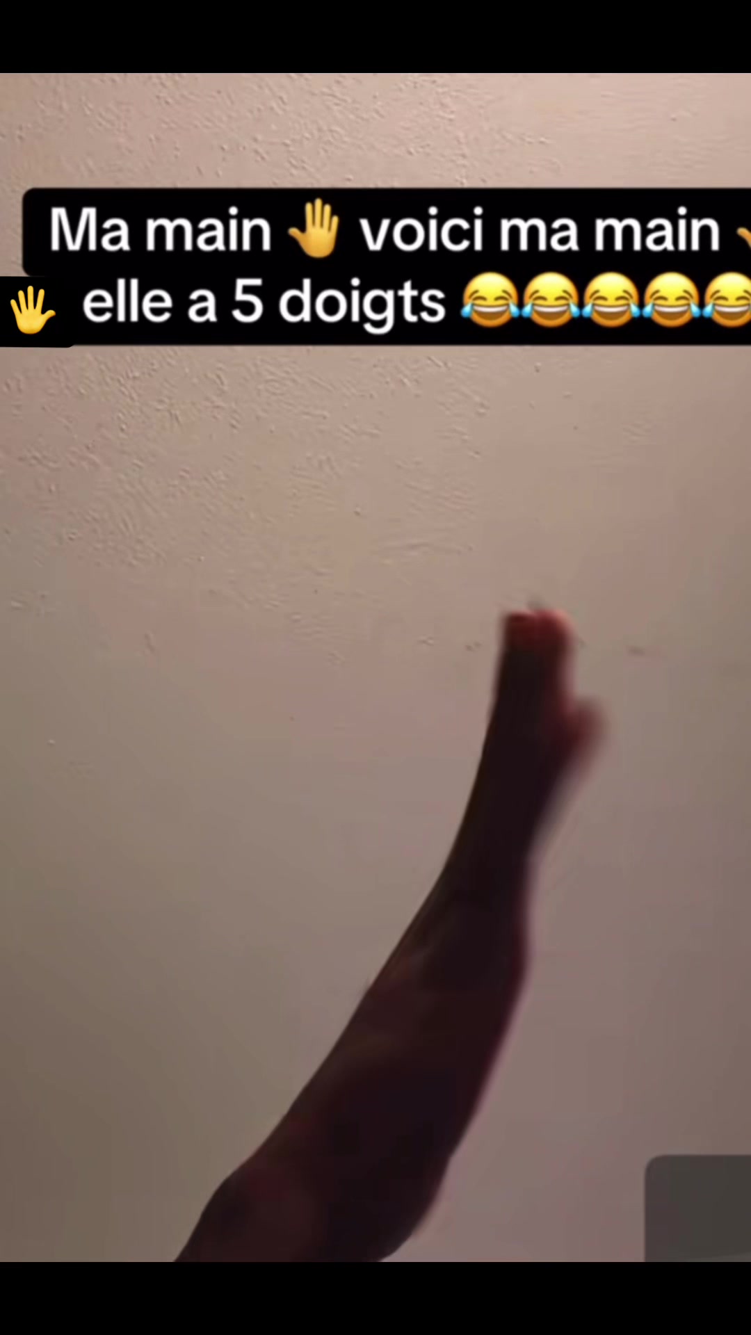 @🌻🌜Lingu&eacute;re🌜D&rsquo;&eacute;co🌛🌻