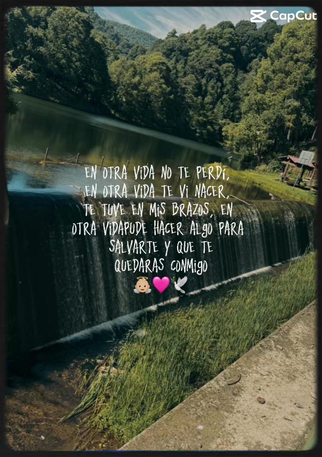 @Larissa Flores