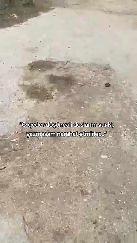 @𝗫𝗔𝗟𝗜𝗟𝗢𝗩🐊