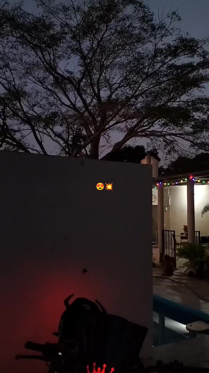 @🕸️EL_FLORES 🕷️