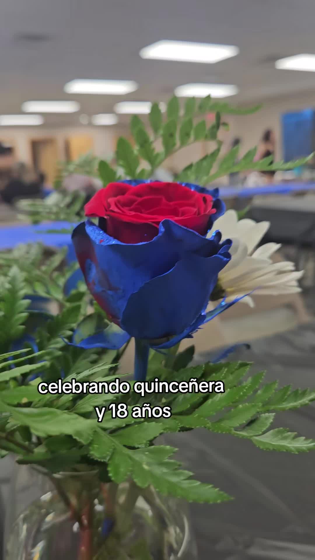 @vickytorres